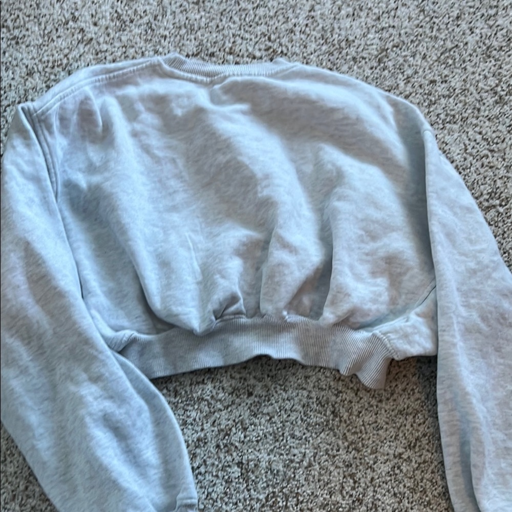 Zara grey Cropped Sweatshirt